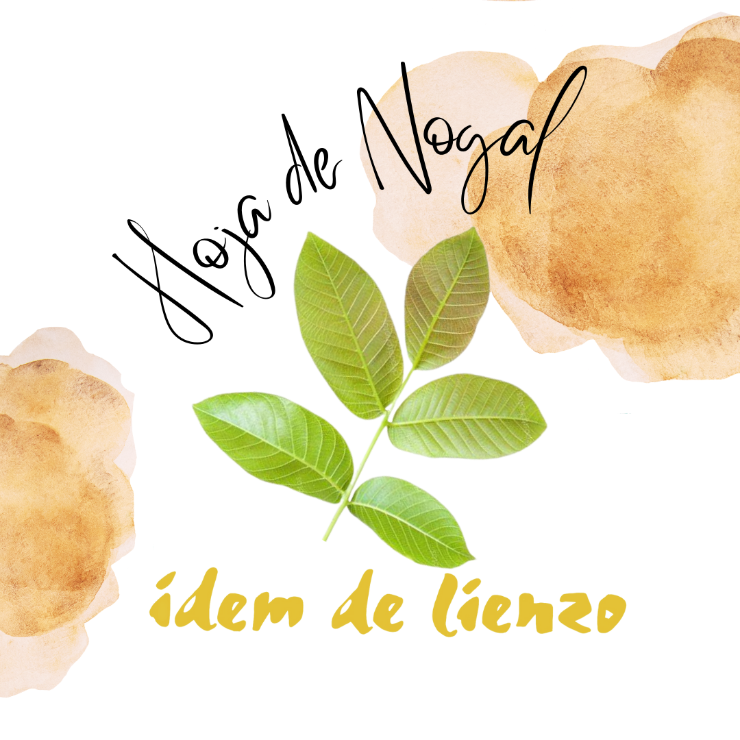 Kit de tintes naturales con hoja de nogal