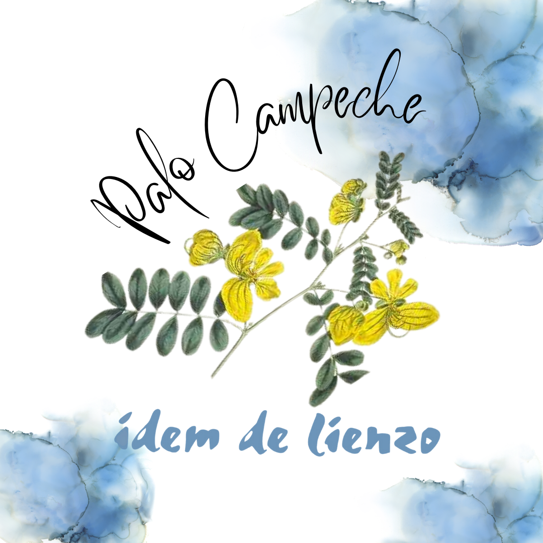 Kit de tintes naturales con palo campeche