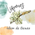 Kit de tintes naturales con líquenes